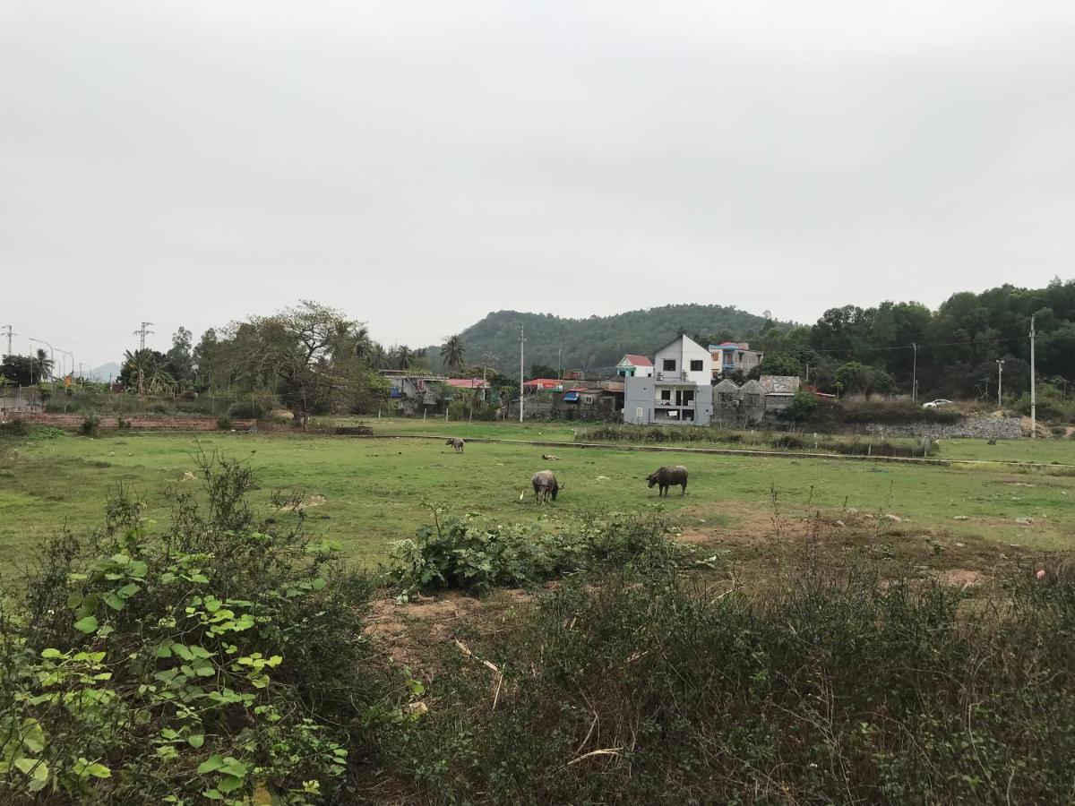 Bee Lucky Homestay Xuan Dam Zewnętrze zdjęcie